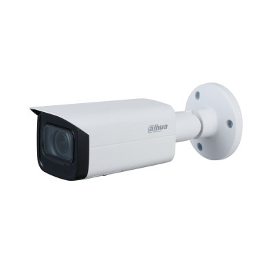 dahua ip camera 2431