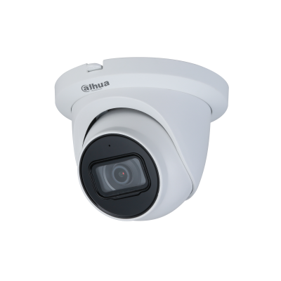 dahua ip camera 2431